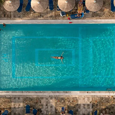 Pappas ルートラキ