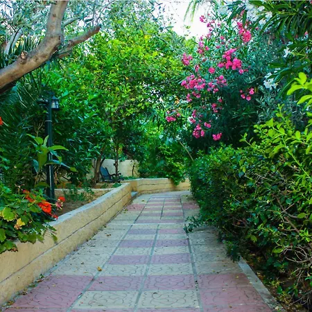Pappas Hotel 3*